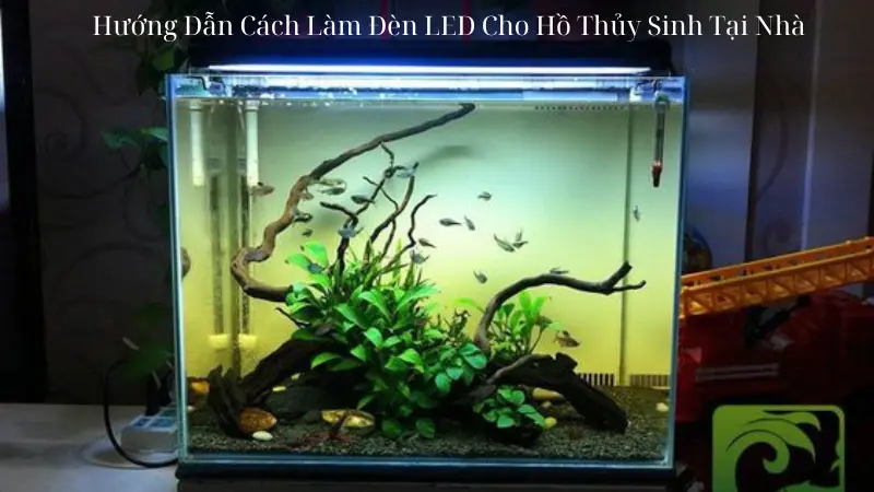 Hướng Dẫn Cách Làm Đèn LED Cho Hồ Thủy Sinh Tại Nhà